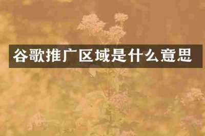谷歌推广区域是什么意思