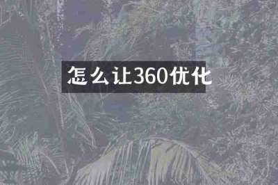 怎么让360优化