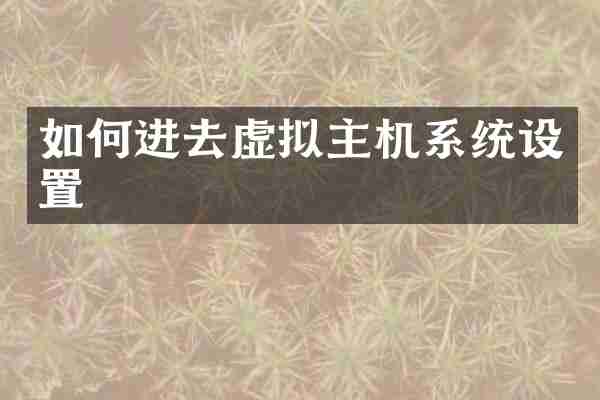 如何进去虚拟主机系统设置