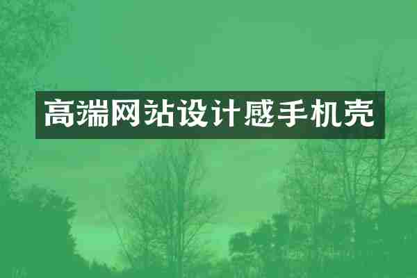 高端网站设计感手机壳