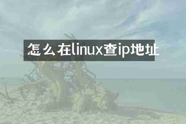 怎么在linux查ip地址