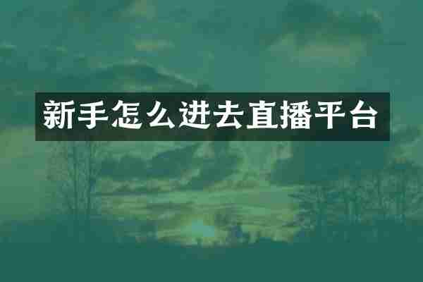 新手怎么进去直播平台