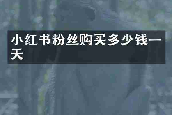 小红书粉丝购买多少钱一天