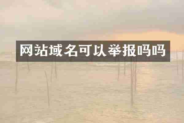网站域名可以举报吗吗