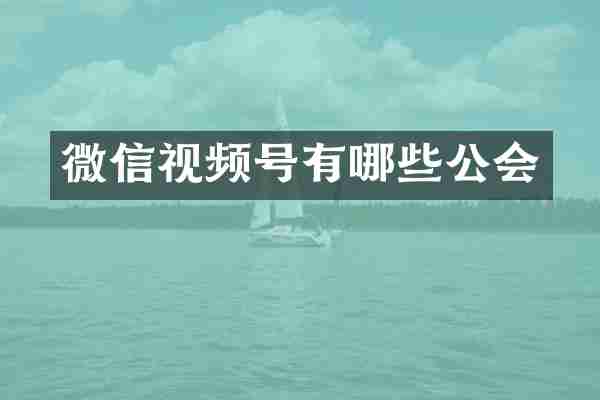 微信视频号有哪些公会