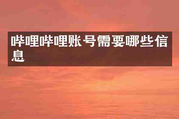 哔哩哔哩账号需要哪些信息