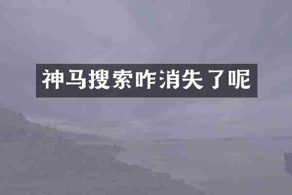 神马搜索咋消失了呢