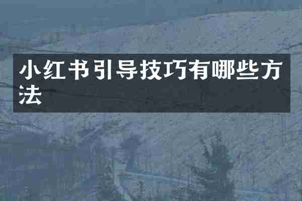 小红书引导技巧有哪些方法