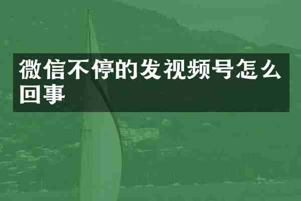 微信不停的发视频号怎么回事