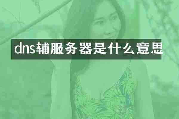 dns辅服务器是什么意思