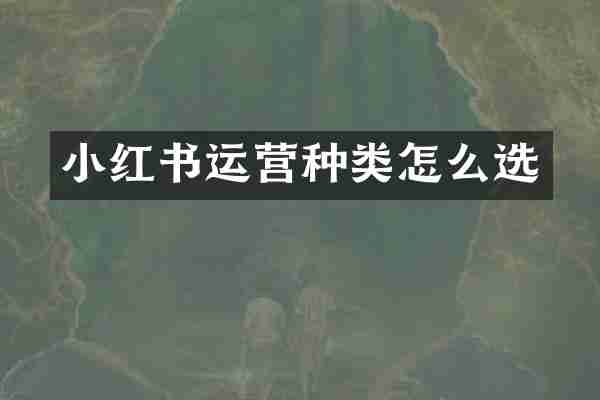 小红书运营种类怎么选