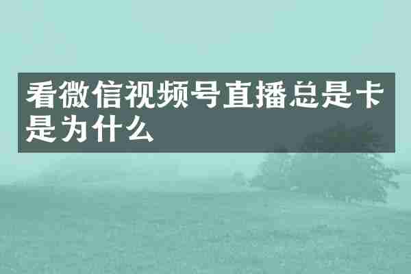 看微信视频号直播总是卡是为什么