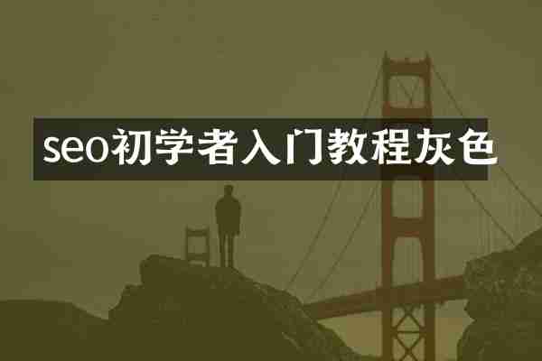 seo初学者入门教程灰色