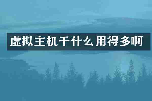 虚拟主机干什么用得多啊