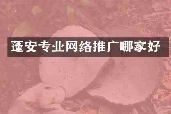 蓬安专业网络推广哪家好