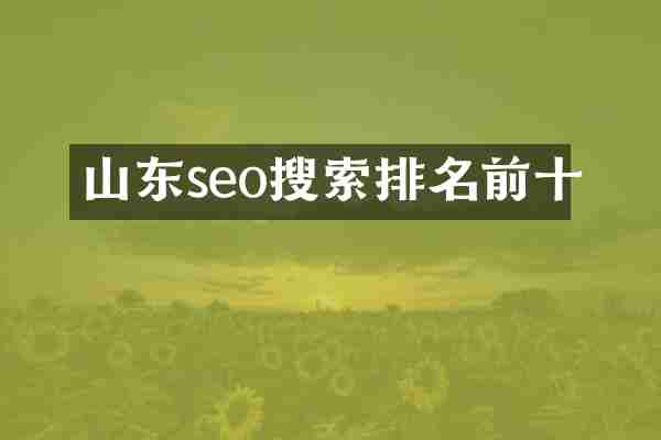 山东seo搜索排名前十