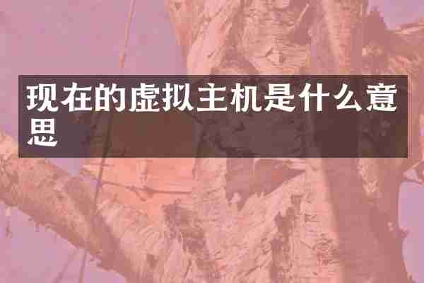 现在的虚拟主机是什么意思