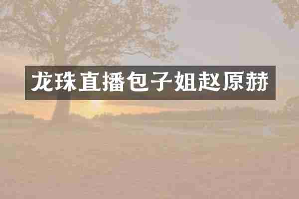 龙珠直播包子姐赵原赫