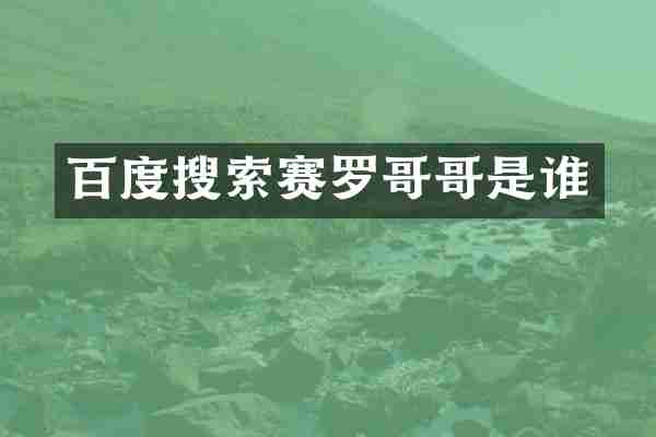 百度搜索赛罗哥哥是谁