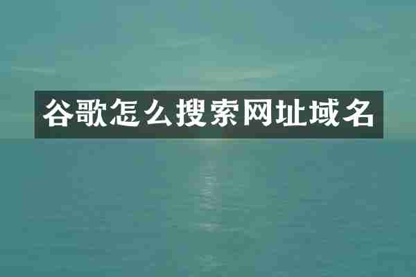 谷歌怎么搜索网址域名