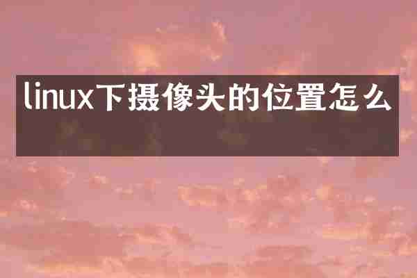 linux下摄像头的位置怎么看