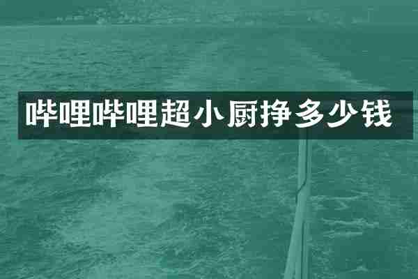哔哩哔哩超小厨挣多少钱