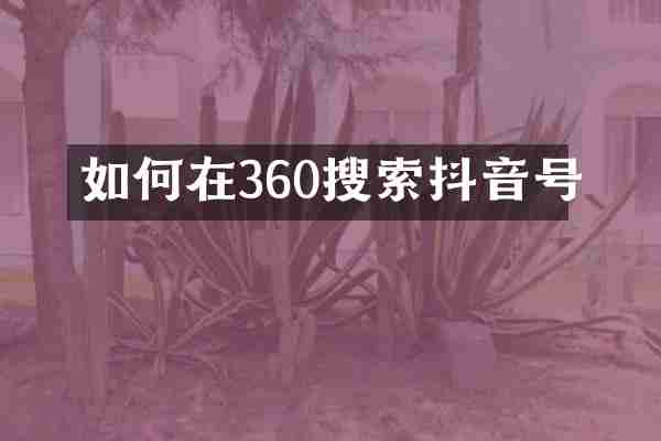 如何在360搜索抖音号