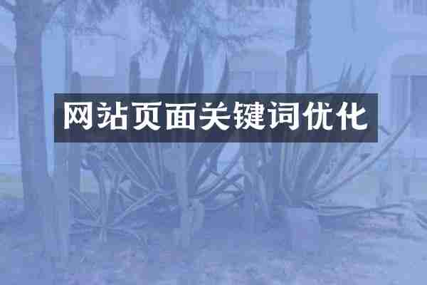 网站页面关键词优化