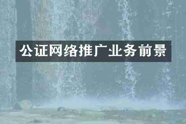 公证网络推广业务前景