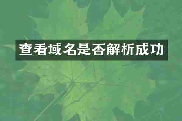 查看域名是否解析成功