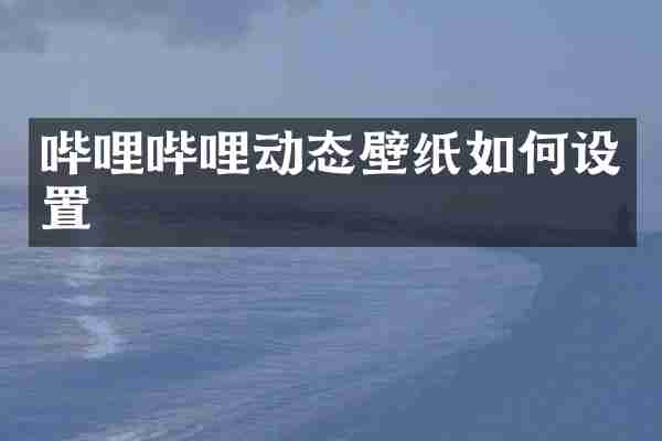 哔哩哔哩动态壁纸如何设置
