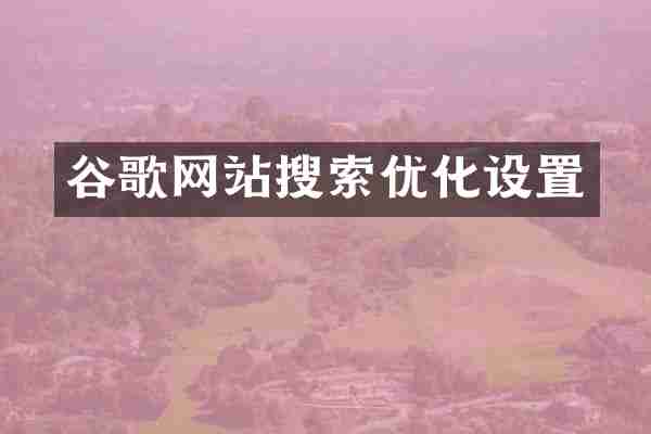 谷歌网站搜索优化设置