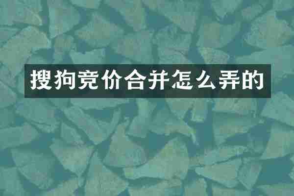 搜狗竞价合并怎么弄的
