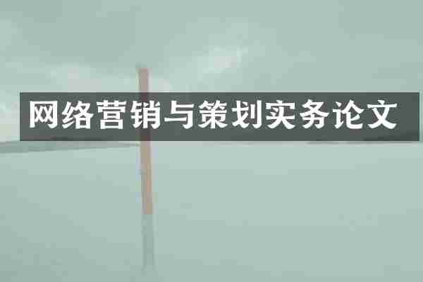 网络营销与策划实务论文