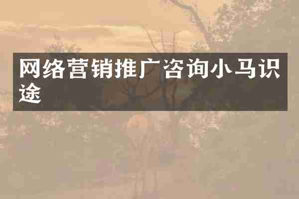 网络营销推广咨询小马识途