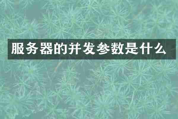 服务器的并发参数是什么