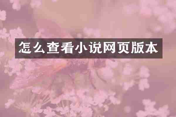 怎么查看小说网页版本