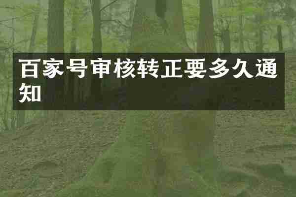 百家号审核转正要多久通知