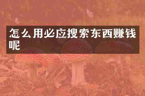 怎么用必应搜索东西赚钱呢