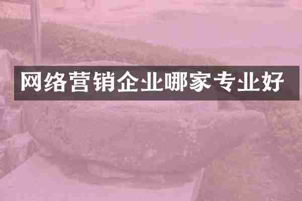 网络营销企业哪家专业好