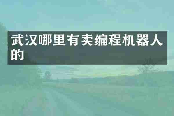 武汉哪里有卖编程机器人的