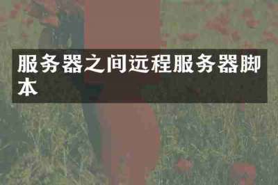 服务器之间远程服务器脚本