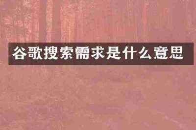 谷歌搜索需求是什么意思