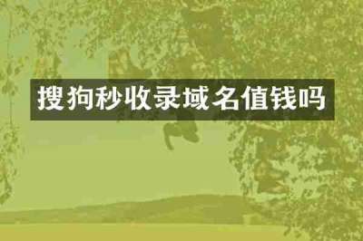 搜狗秒收录域名值钱吗