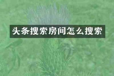 头条搜索房间怎么搜索