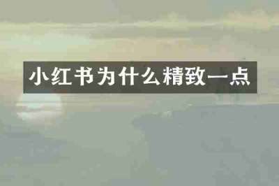 小红书为什么精致一点