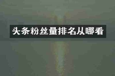 头条粉丝量排名从哪看