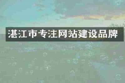 湛江市专注网站建设品牌