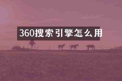 360搜索引擎怎么用