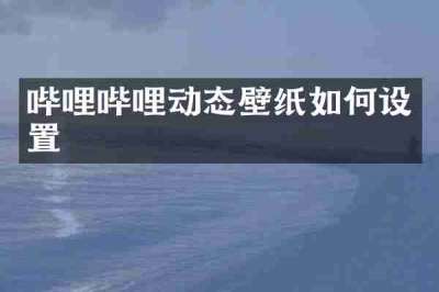 哔哩哔哩动态壁纸如何设置